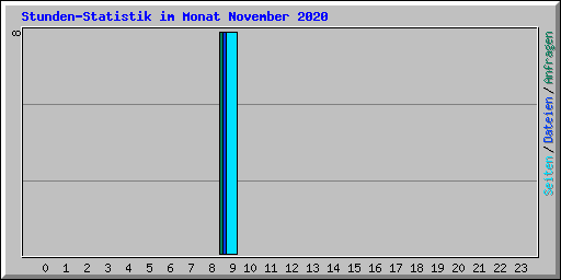 Stunden-Statistik im Monat November 2020
