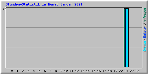 Stunden-Statistik im Monat Januar 2021