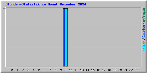Stunden-Statistik im Monat Dezember 2024